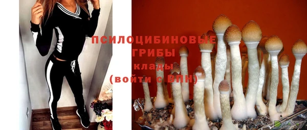 ГАЛЛЮЦИНОГЕННЫЕ ГРИБЫ Алексин