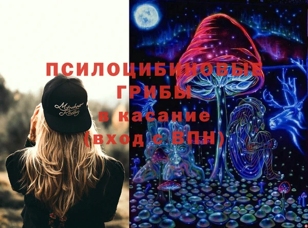 ГАЛЛЮЦИНОГЕННЫЕ ГРИБЫ Алексеевка