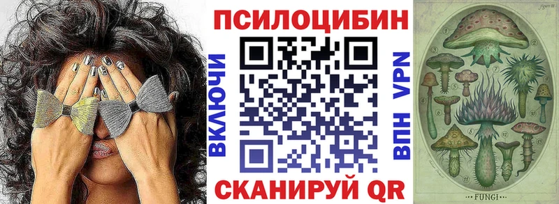 Псилоцибиновые грибы прущие грибы где купить наркотик Нововоронеж