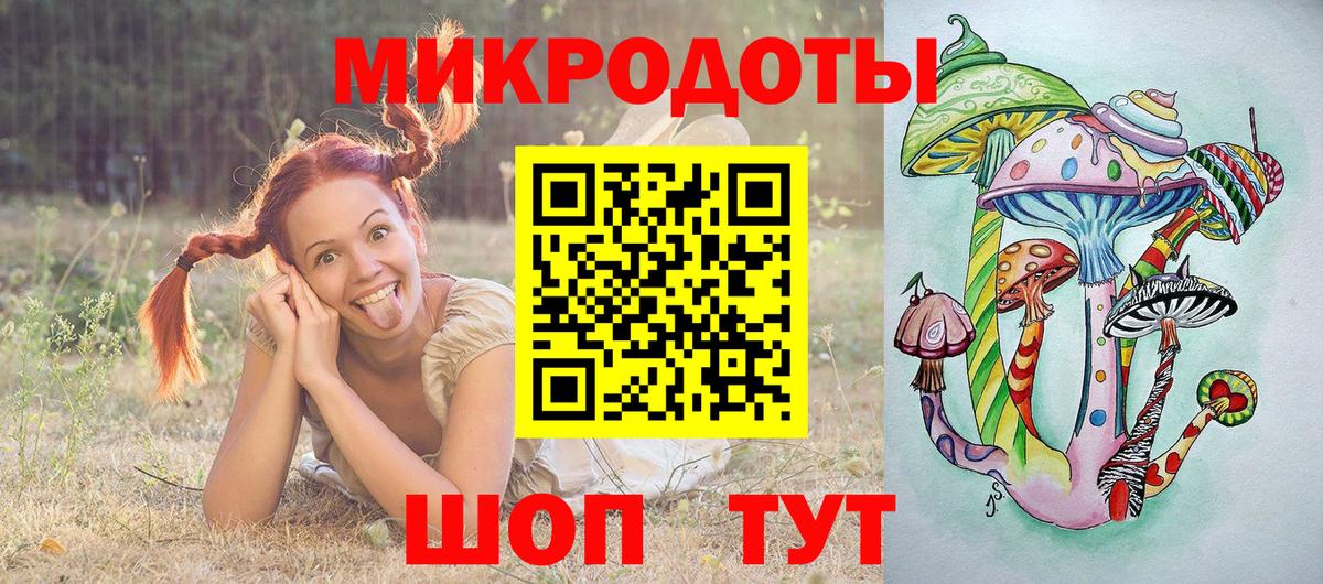 Нововоронеж  Псилоцибиновые грибы Psilocybe  Вход с VPN  Псилоцибиновые грибы мицелий 