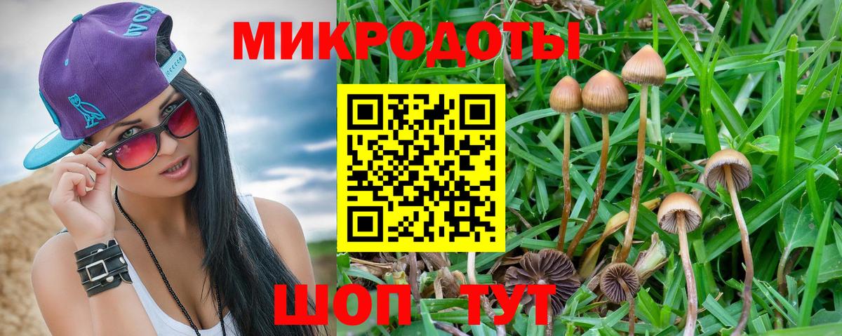 Галлюциногенные грибы мицелий Нововоронеж