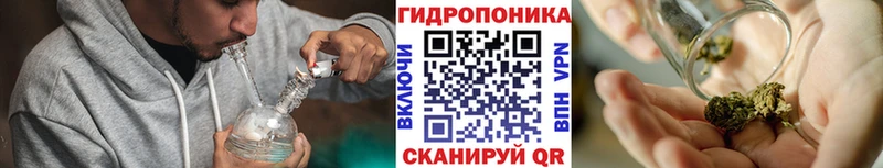 Бошки марихуана индика  купить   Нововоронеж 