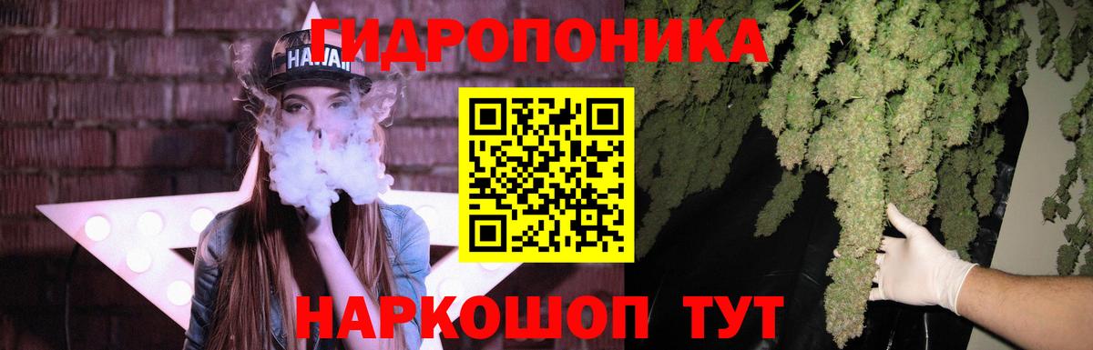 Канабис индика  Вход с VPN  Конопля Bruce Banner  Каннабис семена  Нововоронеж 